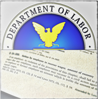 Employment and Labor Laws Explained